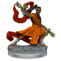 D&D: Frameworks - Elf Monk Male