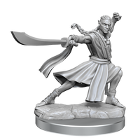 D&D: Frameworks - Elf Monk Male