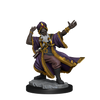 D&D: Frameworks - Human Wizard Male