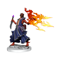 D&D: Frameworks - Dragonborn Sorcerer Female