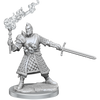 D&D: Frameworks - Human Fighter Male