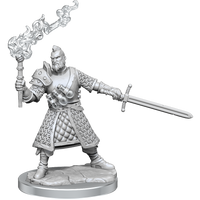 D&D: Frameworks - Human Fighter Male