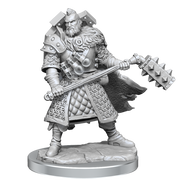 D&D: Frameworks - Human Fighter Male