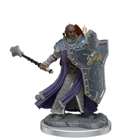 D&D: Frameworks - Human Cleric Male