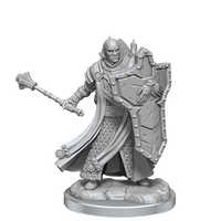 D&D: Frameworks - Human Cleric Male