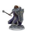 D&D: Frameworks - Human Cleric Male