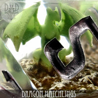 Dragon Hatchlings Handmade Dice Set