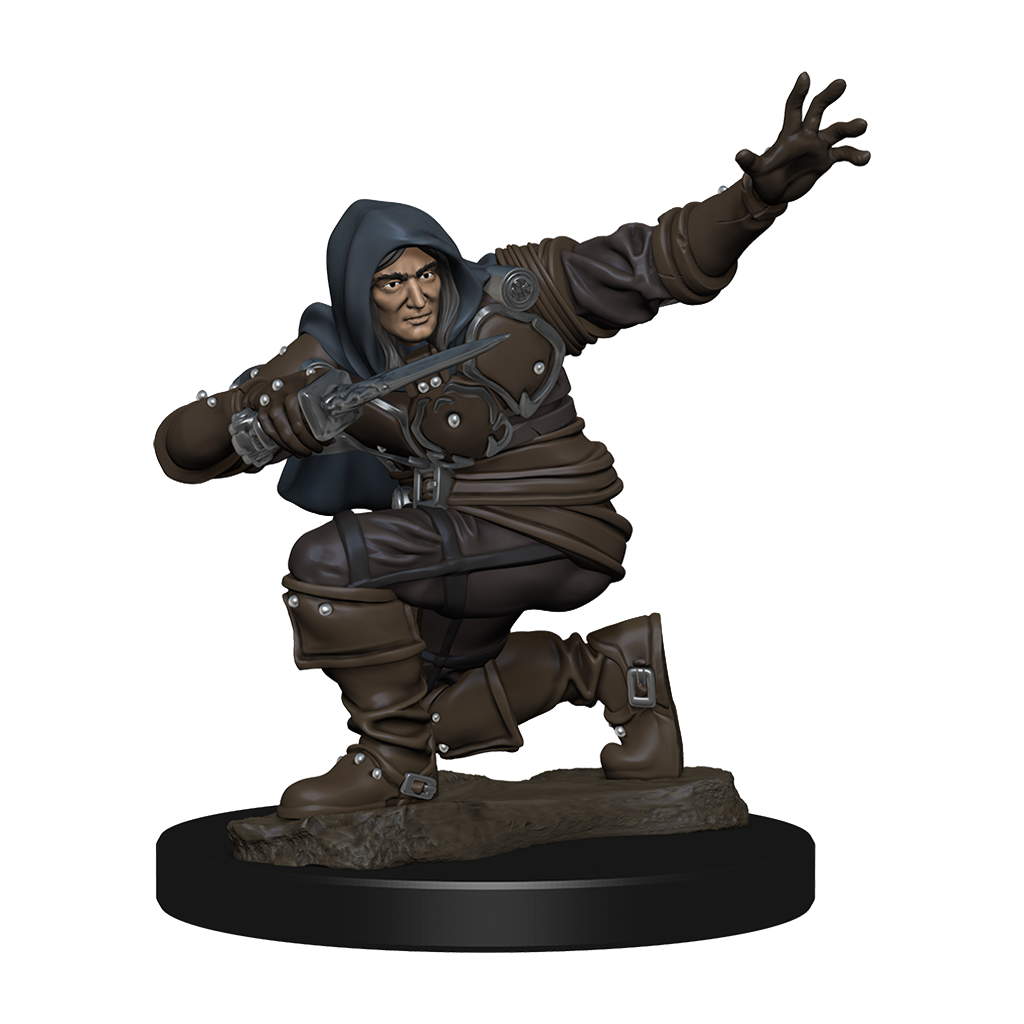 Pathfinder Battles: Human Rogue Male