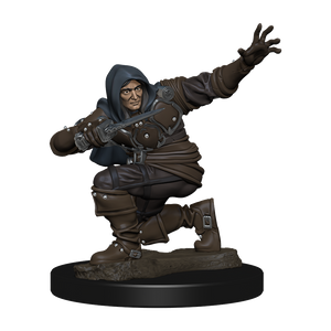 Pathfinder Battles: Human Rogue Male