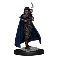 Pathfinder Battles: Human Rogue Female