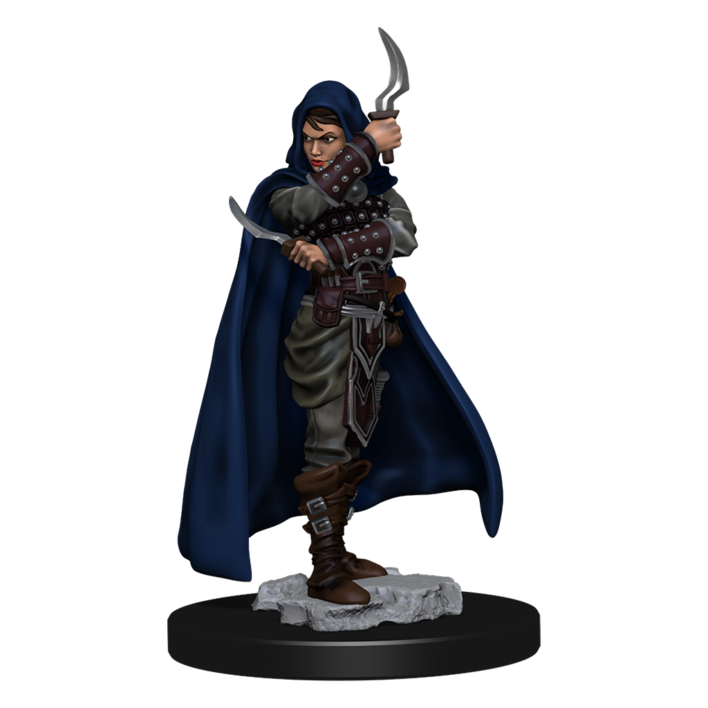 Pathfinder Battles: Human Rogue Female