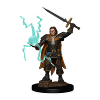 Pathfinder Battles: Human Cleric Male