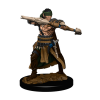 Pathfinder Battles: Half-Elf Ranger Male