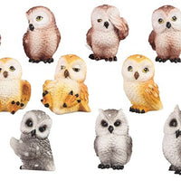 Assorted Mini Owl - Random