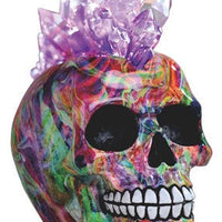 LED Rainbow Punk Skull