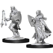 Nolzur's Marvelous Miniatures: Kalashtar Cleric Female