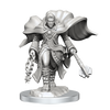 D&D: Nolzur's Marvelous Miniatures - Aasimar Cleric Male