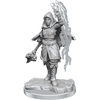 D&D: Nolzur's Marvelous Miniatures - Half-Elf Warlock