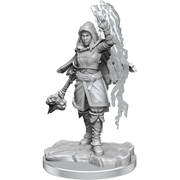 D&D: Nolzur's Marvelous Miniatures - Half-Elf Warlock