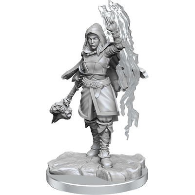 D&D: Nolzur's Marvelous Miniatures - Half-Elf Warlock