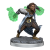 D&D: Nolzur's Marvelous Miniatures - Half-Elf Warlock