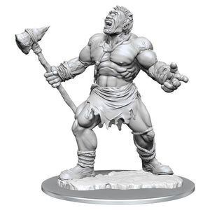 D&D: Nolzur's Marvelous Miniatures - Cyclops